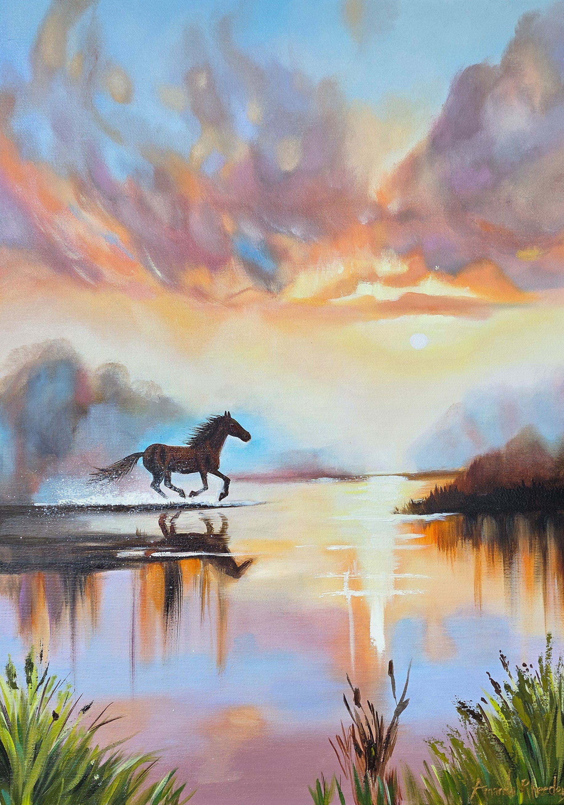 "Unbridled Freedom"