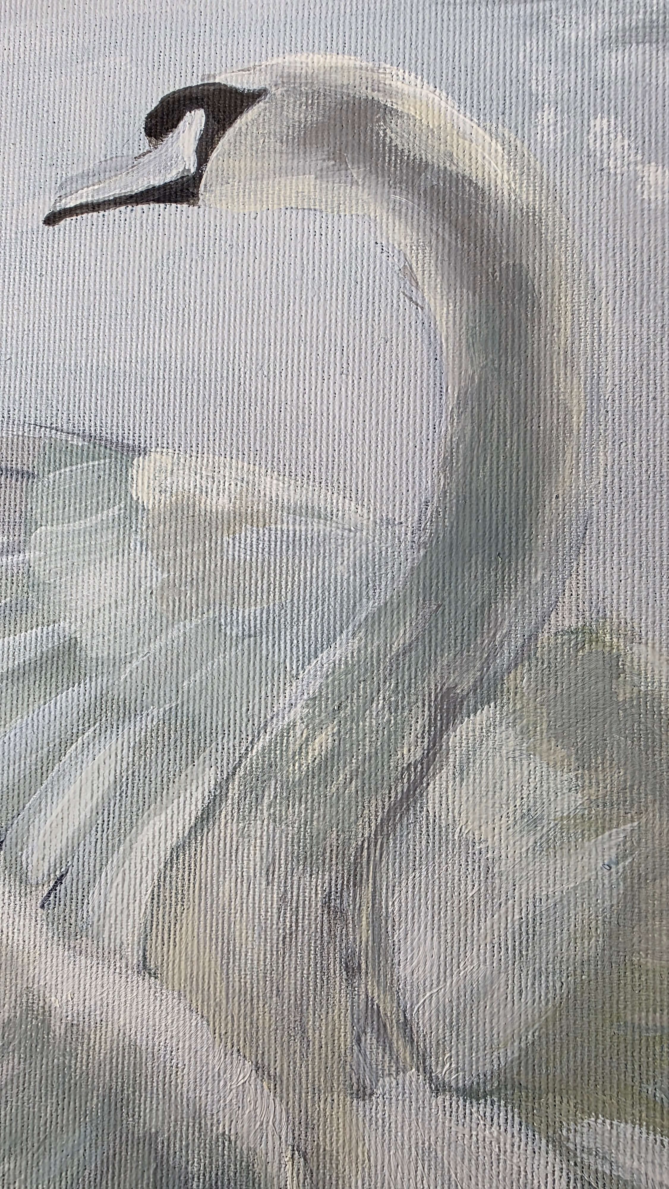 Gracious Flight - Fine Art Print