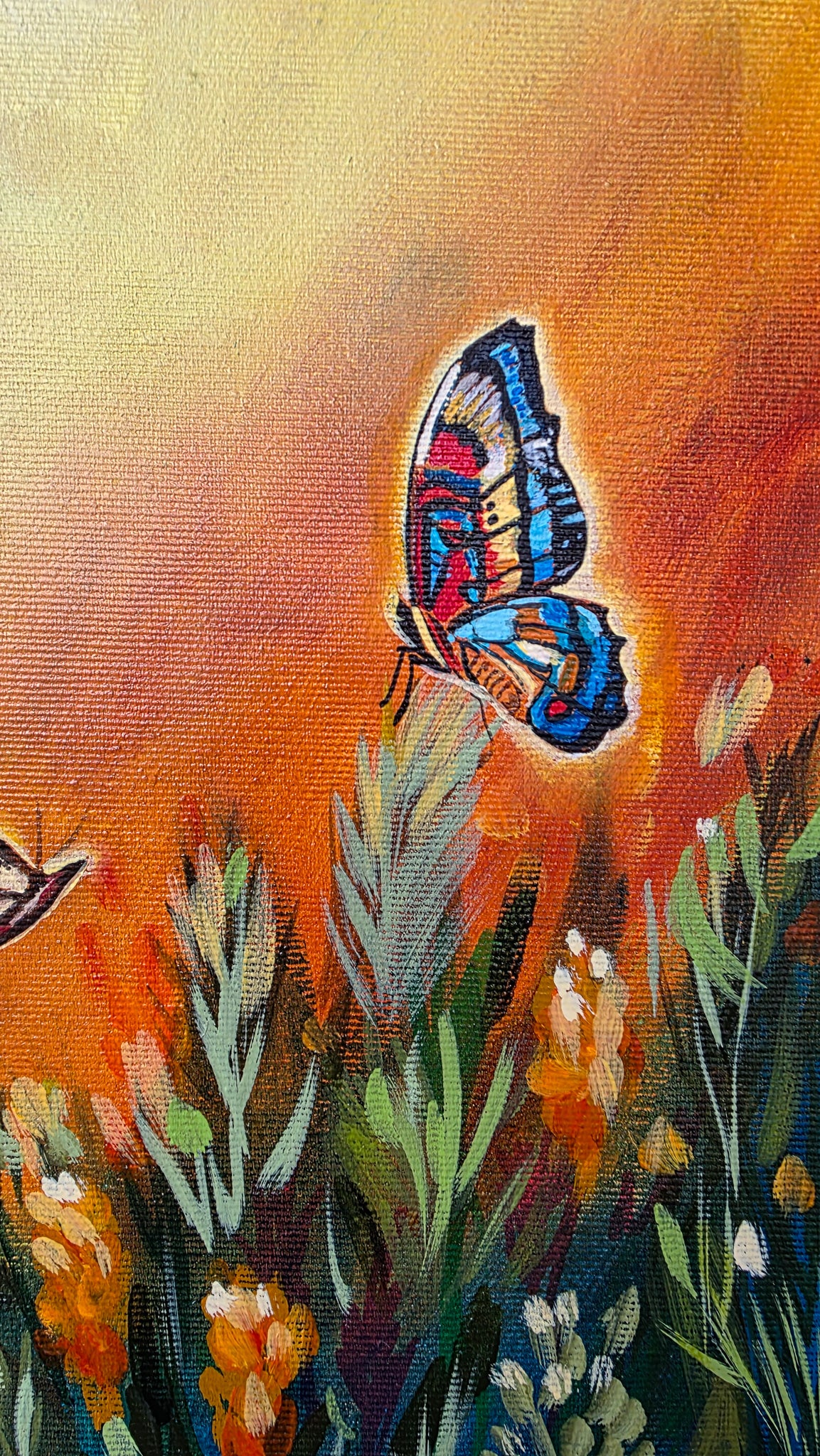 "The King of the Light"