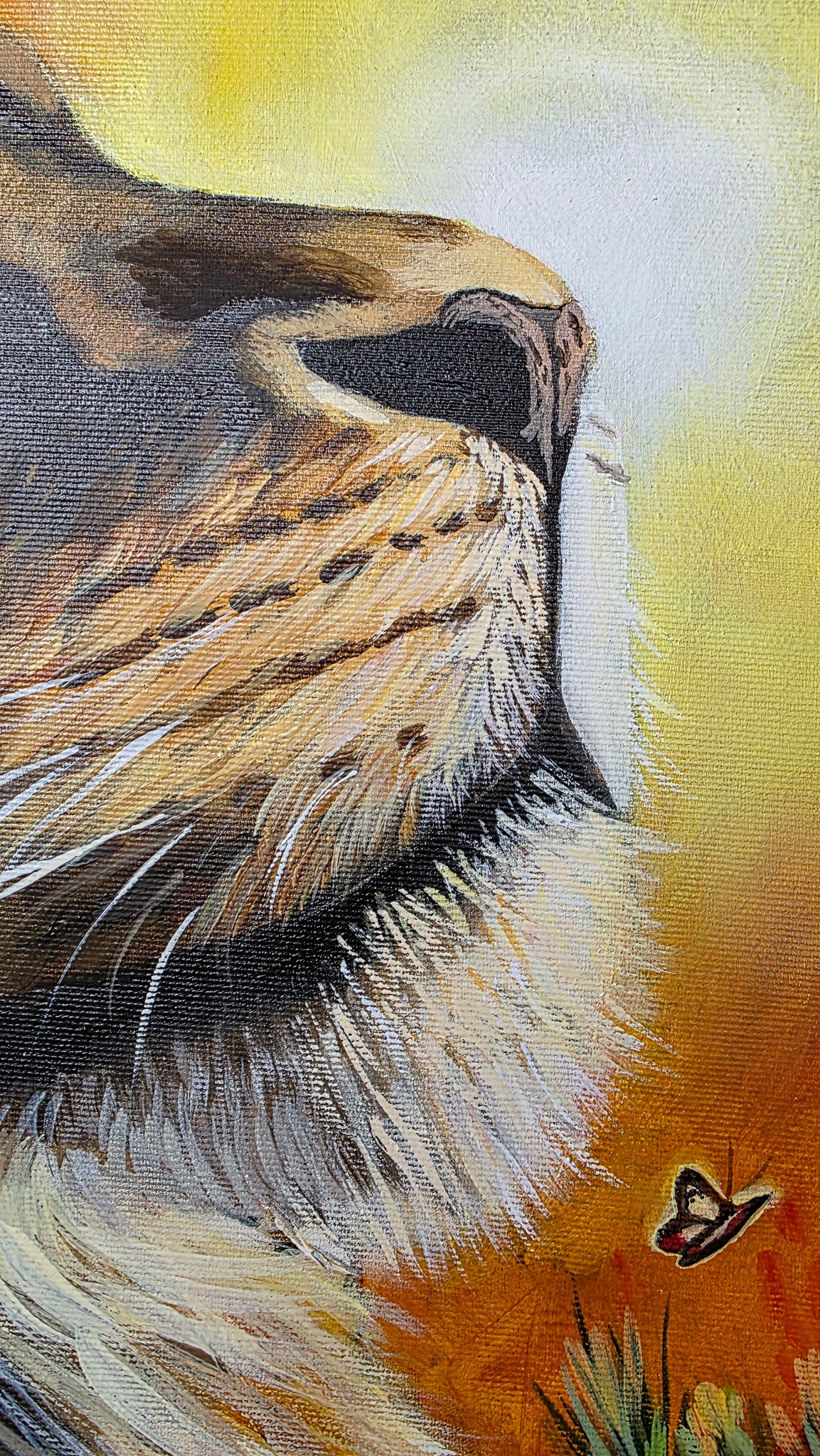 "The King of the Light"
