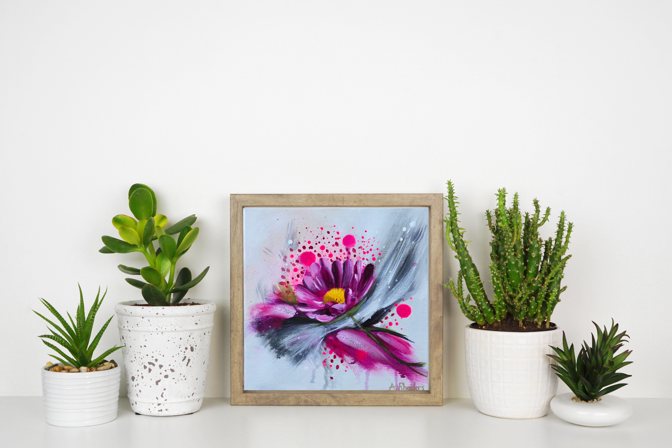 "Magenta Mist"